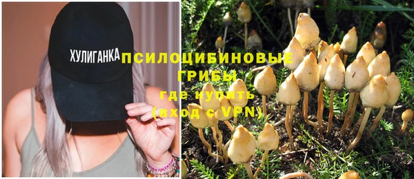 кокс Абаза
