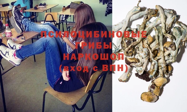 кокс Абаза