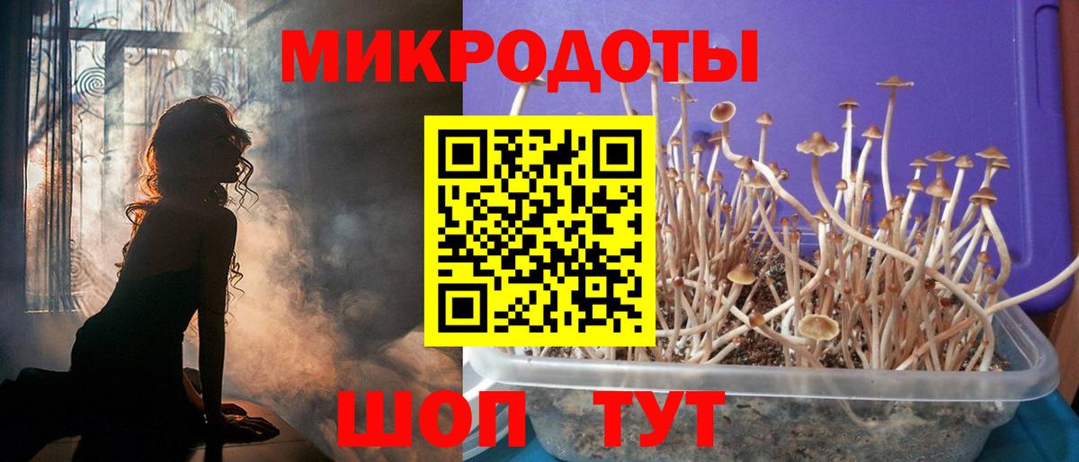 Норильск  Псилоцибиновые грибы Magic Shrooms  Вход с VPN 